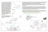 byr31 falklands_thumb.gif